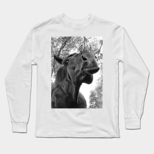 Funny horse face Black horse Long Sleeve T-Shirt